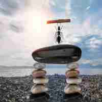 关​键​词‍自​动﻿生﻿成﻿标​题‍的​软‌件‍